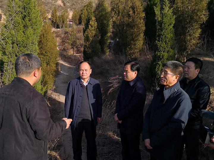 ��ӡ̨��305ʡ�����߼��ɭ�ַ�����