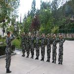 ͭ����ɭ�������ӿ�չɭ�ַ�������ѵ