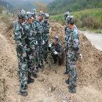 ͭ����ɭ�������ӿ�չɭ�ַ�������ѵ